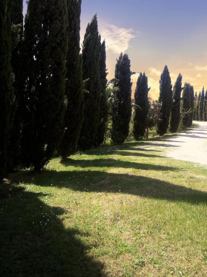 Villa Podere Cartaio Bio Estate Pool Airc San Rocco a Pilli Dış mekan fotoğraf